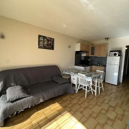 Avec Piscine, Parking, Climatisation Et Animaux Admis - Fr-1-702-33 * Agde