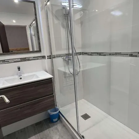 公寓 Avec Piscine, Parking, Climatisation Et Animaux Admis - Fr-1-702-33 阿格德