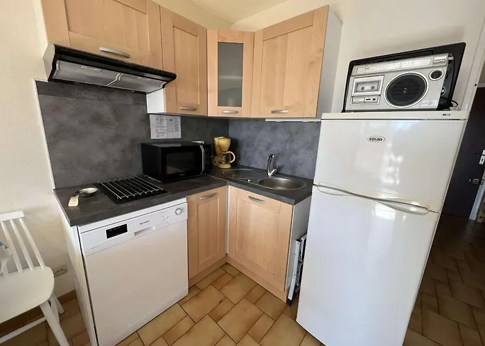 Avec Piscine, Parking, Climatisation Et Animaux Admis - Fr-1-702-33