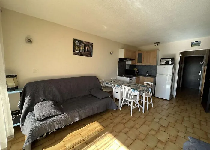 Avec Piscine, Parking, Climatisation Et Animaux Admis - Fr-1-702-33 * Agde