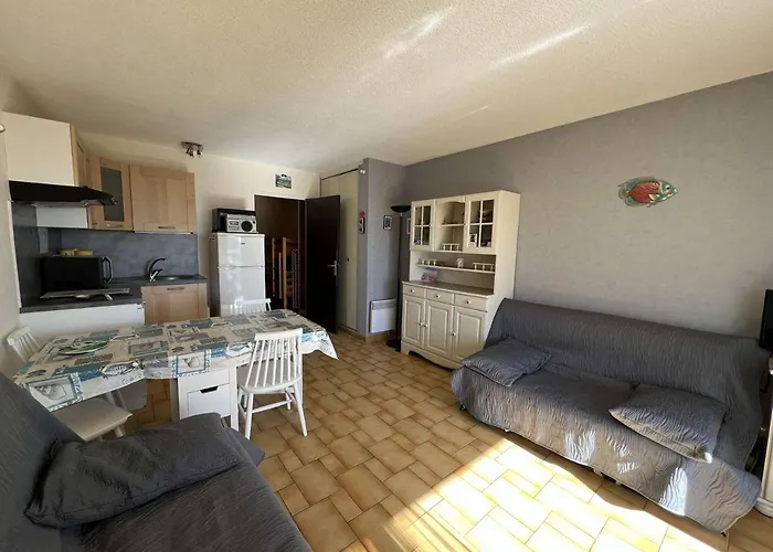 Avec Piscine, Parking, Climatisation Et Animaux Admis - Fr-1-702-33 Apartament