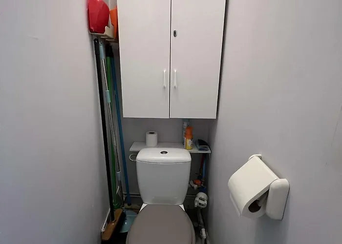 Apartament Avec Piscine, Parking, Climatisation Et Animaux Admis - Fr-1-702-33 *